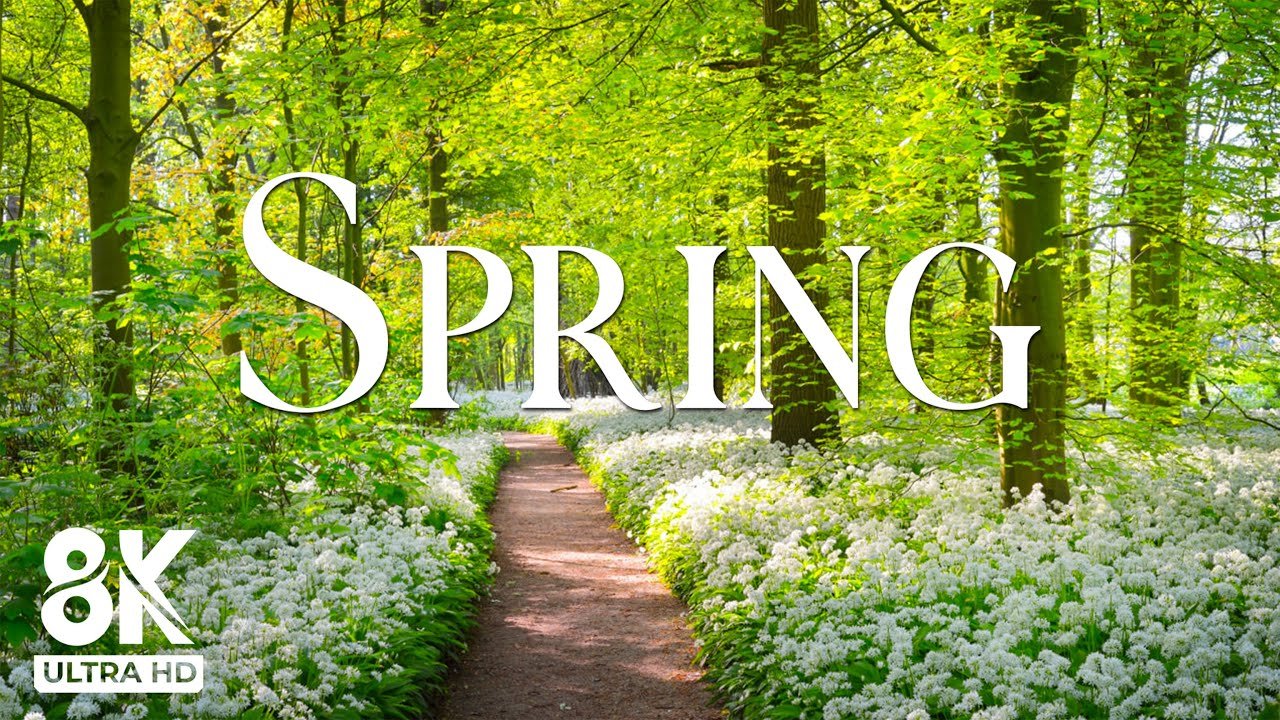 Switzerland in Full Bloom 🌷 Picturesque Spring Landscapes from Zurich to the Alps