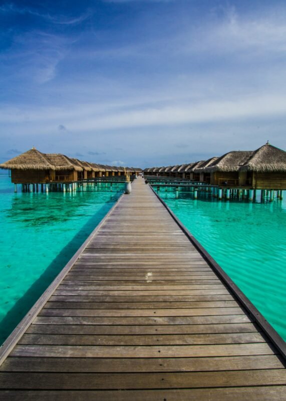 Punta Cana vs Cancún: palm-lined beach in Punta Cana